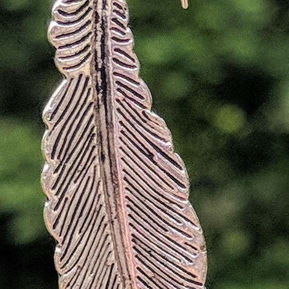 Feather Earrings Set in Sterling Silver Ear Wires - Picture 3 of 6